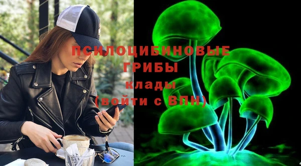 первитин Осинники