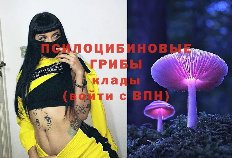 Галлюциногенные грибы Magic Shrooms  Корсаков 