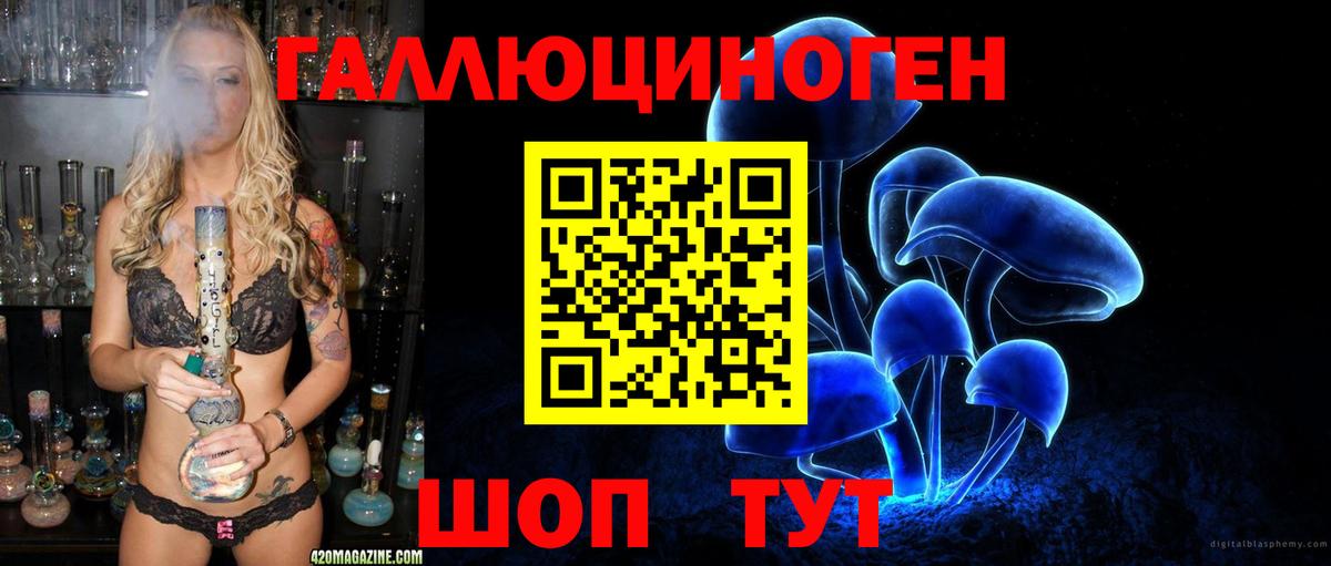 Корсаков  Псилоцибиновые грибы Psilocybe  Вход с VPN 